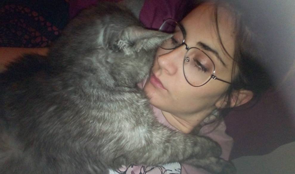 Por qué deberías adoptar un perro o un gato en lugar de comprarlo $!Por qué deberías adoptar un perro o un gato en lugar de comprarlo