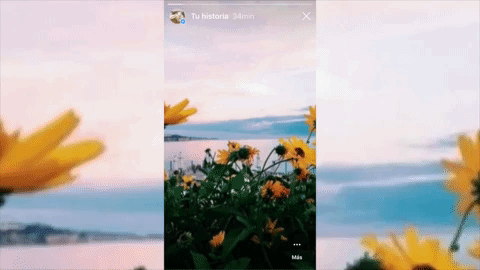 Manual para recorrerte cualquier Instagram sin dejar ni rastro $!Manual para recorrerte cualquier Instagram sin dejar ni rastro
