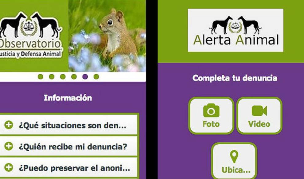 'Alerta Animal', La App Para Que Podamos Hacer Justicia Y Denunciar A Los Dueños Violentos $!'Alerta Animal', La App Para Que Podamos Hacer Justicia Y Denunciar A Los Dueños Violentos