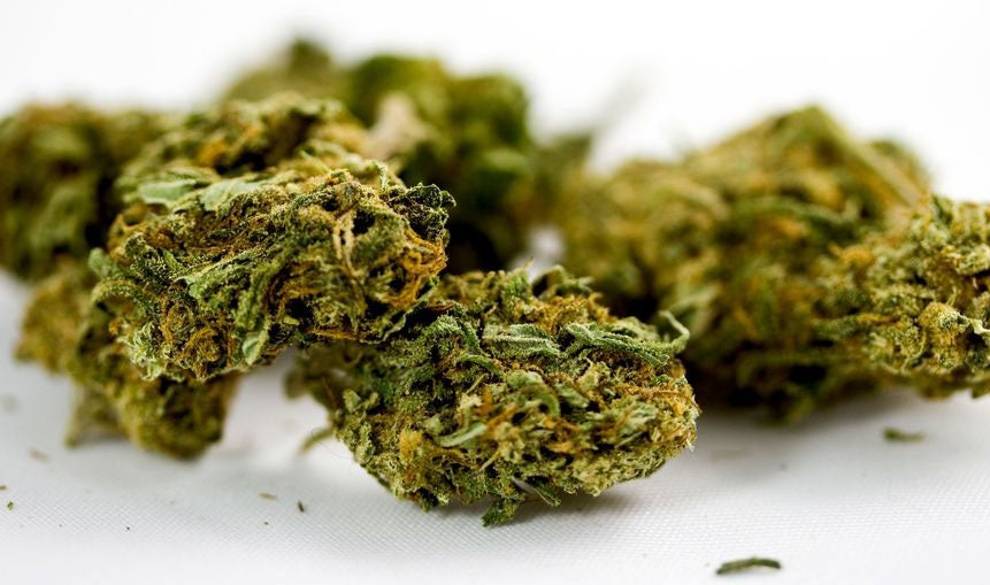Los 5 mitos sobre la marihuana que deberías replantearte $!Los 5 mitos sobre la marihuana que deberías replantearte