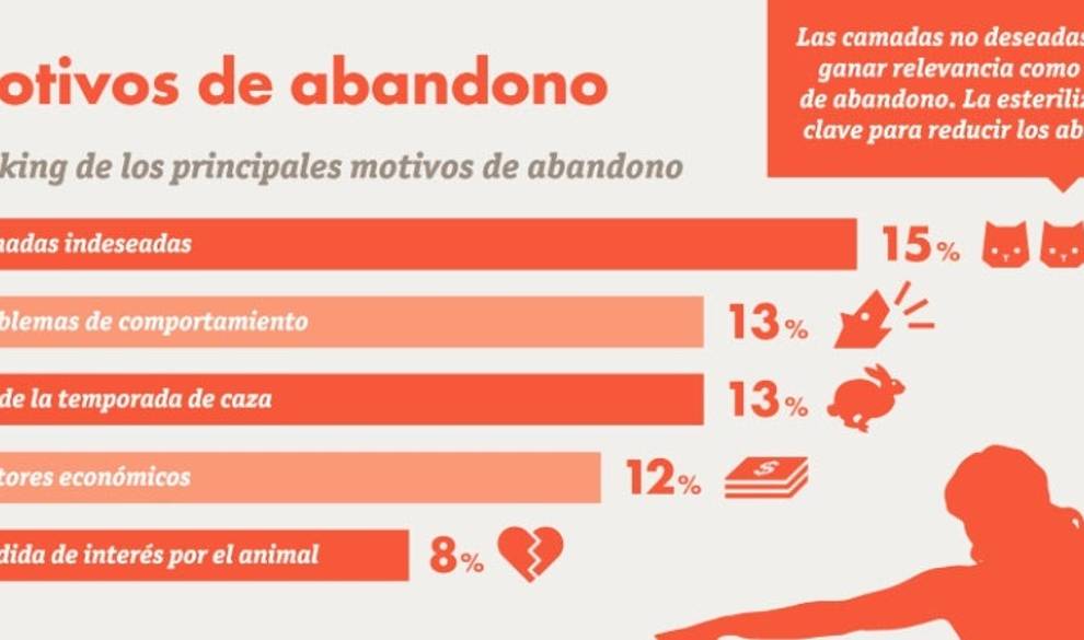 Por qué deberías adoptar un perro o un gato en lugar de comprarlo $!Por qué deberías adoptar un perro o un gato en lugar de comprarlo
