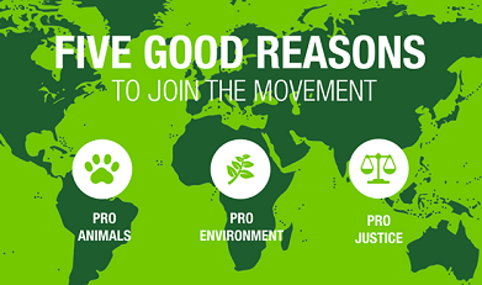 vegan-reducetarianismo-codigo-nuevo $!vegan-reducetarianismo-codigo-nuevo