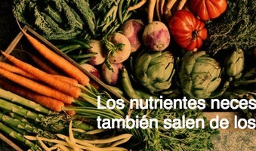 Vegetales Sumario Codigo Nuevo $!Vegetales Sumario Codigo Nuevo