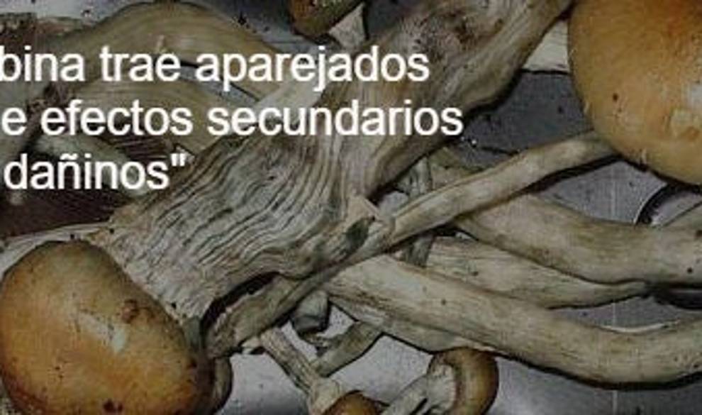 setas2 codigo nuevo $!setas2 codigo nuevo