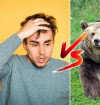 El ‘trend’ del oso: qué es y por qué se usa en TikTok para hablar de violencia machista