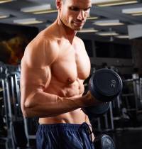 Los ejercicios que necesitas hacer para tener más bíceps