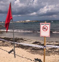 Materia fecal llena las playas de Ibiza debido al turismo masivo
