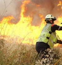 Este es el motivo por el que hay tantos incendios activos en España