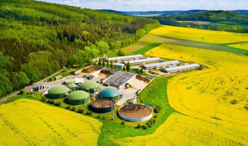 ¿Pueden los purines generar empleo local en las zonas rurales?