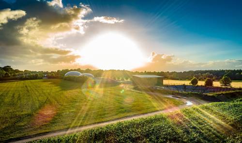 Biometano: el viaje de la ganadería a la descarbonización del sector