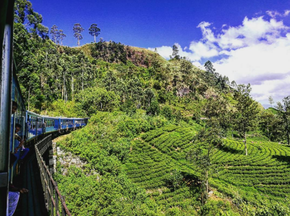 $!Viajé a Sri Lanka y entendí el verdadero significado de la palabra ‘desigualdad’