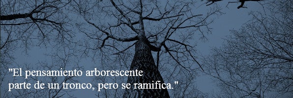 pensamiento arborescente ramificacion codigo nuevo $!pensamiento arborescente ramificacion codigo nuevo