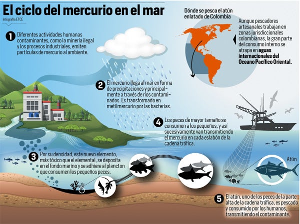 ¿Es peligroso para la salud comer tanto pescado contaminado de mercurio? $!¿Es peligroso para la salud comer tanto pescado contaminado de mercurio?