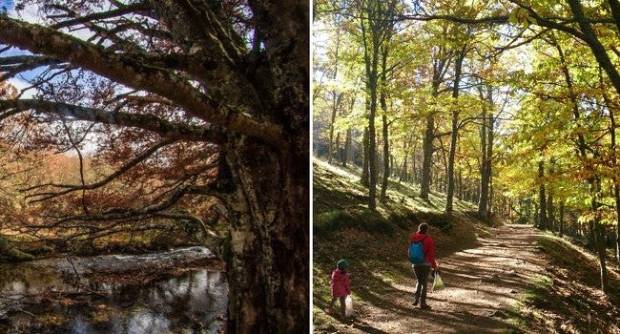8 rutas de senderismo de ensueño para que te hagas fan del otoño $!8 rutas de senderismo de ensueño para que te hagas fan del otoño