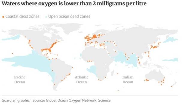 Los océanos multiplican por cuatro sus aguas sin oxígeno en los últimos 50 años $!Los océanos multiplican por cuatro sus aguas sin oxígeno en los últimos 50 años