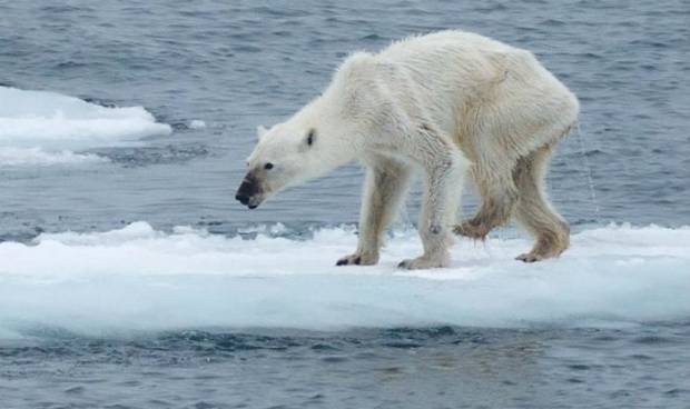 Hablamos con dos expertos sobre los argumentos que niegan el cambio climático $!Hablamos con dos expertos sobre los argumentos que niegan el cambio climático