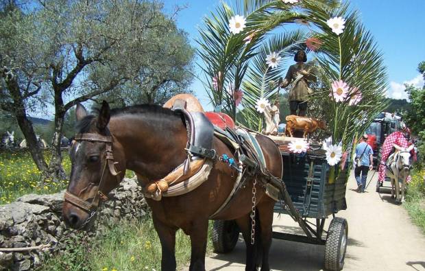 $!Rincones españoles a los que viajar para enamorarte de la primavera