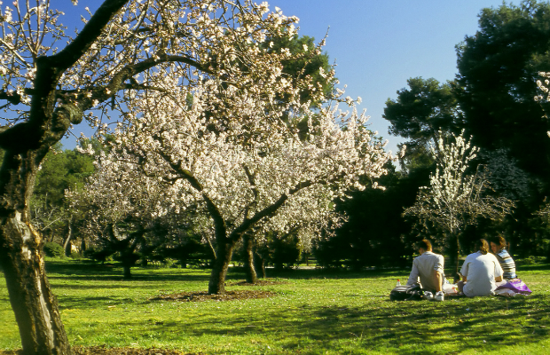 4 parques ideales para hacer un picnic con amigos a la sombrita $!4 parques ideales para hacer un picnic con amigos a la sombrita