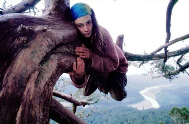 Viví en un árbol durante más de dos años para evitar que lo talaran $!Viví en un árbol durante más de dos años para evitar que lo talaran