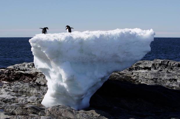 Two Adelie penguins stand atop a block of melting ice on a rocky shoreline at Cape Denison, Commonwealth Bay, in East Antarctica January 1, 2010. Russia and the Ukraine on November 1, 2013 again scuttled plans to create the world's largest ocean sanctuary in Antarctica, pristine waters rich in energy and species such as whales, penguins and vast stocks of fish, an environmentalist group said. The Commission for the Conservation of Antarctic Marine Living Resources wound up a week-long meeting in Hobart, Australia, considering proposals for two marine protected areas aimed at conserving the ocean wilderness from fishing, drilling for oil and other industrial interests. Picture taken January 1, 2010. To match story ANTARCTIC-ENVIRONMENT/ REUTERS/Pauline Askin (ANTARCTICA - Tags: ENVIRONMENT POLITICS ANIMALS) - RTX14WAT $!Two Adelie penguins stand atop a block of melting ice on a rocky shoreline at Cape Denison, Commonwealth Bay, in East Antarctica January 1, 2010. Russia and the Ukraine on November 1, 2013 again scuttled plans to create the world's largest ocean sanctuary in Antarctica, pristine waters rich in energy and species such as whales, penguins and vast stocks of fish, an environmentalist group said. The Commission for the Conservation of Antarctic Marine Living Resources wound up a week-long meeting in Hobart, Australia, considering proposals for two marine protected areas aimed at conserving the ocean wilderness from fishing, drilling for oil and other industrial interests. Picture taken January 1, 2010. To match story ANTARCTIC-ENVIRONMENT/ REUTERS/Pauline Askin (ANTARCTICA - Tags: ENVIRONMENT POLITICS ANIMALS) - RTX14WAT