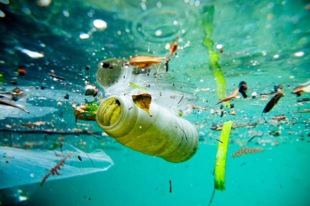 Los océanos multiplican por cuatro sus aguas sin oxígeno en los últimos 50 años $!Los océanos multiplican por cuatro sus aguas sin oxígeno en los últimos 50 años