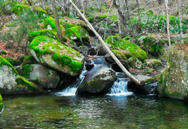 Escapadas refrescantes para huir de la ola de calor desde Barcelona o Madrid $!Escapadas refrescantes para huir de la ola de calor desde Barcelona o Madrid