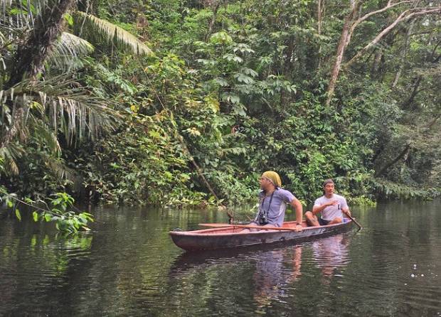 El primer parque natural del silencio está en la selva de Ecuador $!El primer parque natural del silencio está en la selva de Ecuador