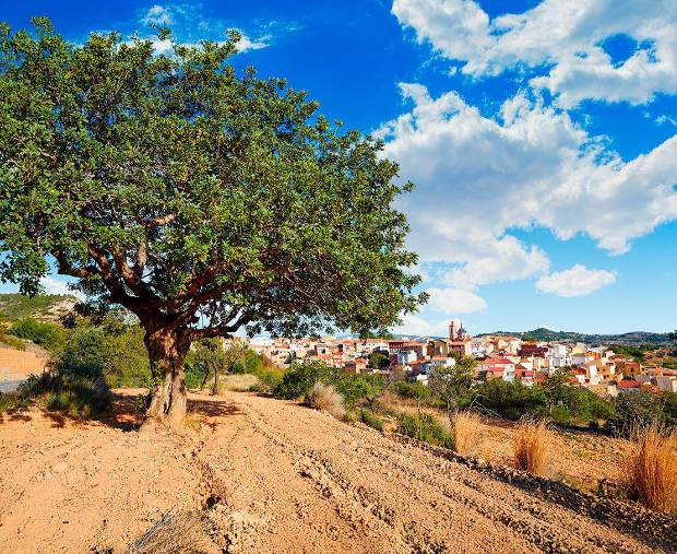 $!¿Pueden los purines generar empleo local en las zonas rurales?