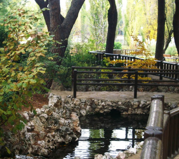 4 parques ideales para hacer un picnic con amigos a la sombrita $!4 parques ideales para hacer un picnic con amigos a la sombrita