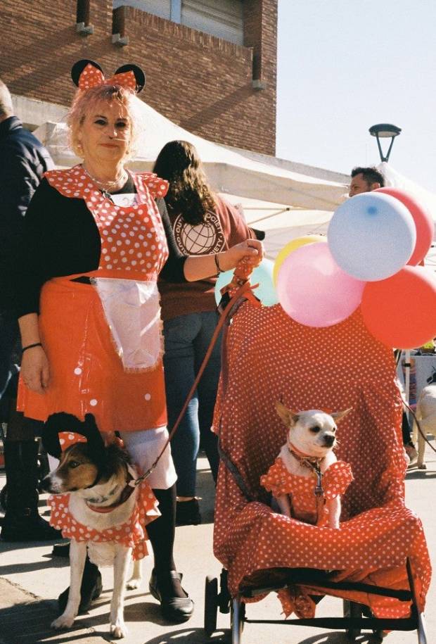 Estas señoras visten a sus perros con disfraces para niños $!Estas señoras visten a sus perros con disfraces para niños
