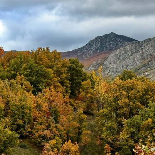 4 pueblos cerca de Madrid para empaparte de otoño