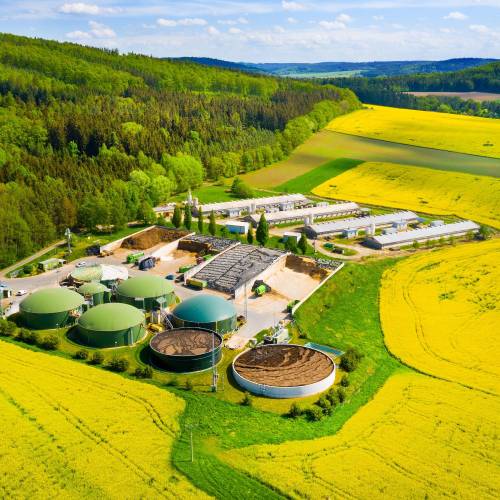 ¿Pueden los purines generar empleo local en las zonas rurales?