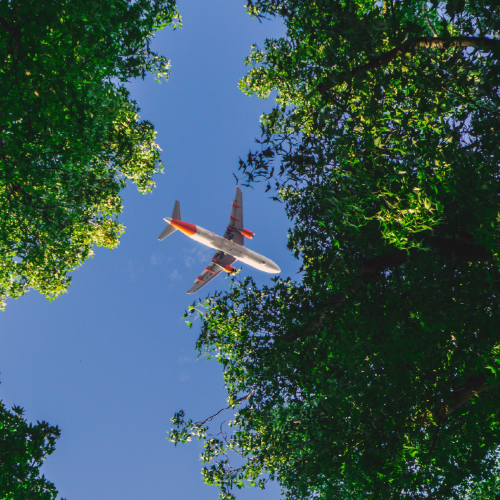 España podría tener la clave para la aviación sostenible: biomasa lignocelulósica con la que decir adiós al petróleo