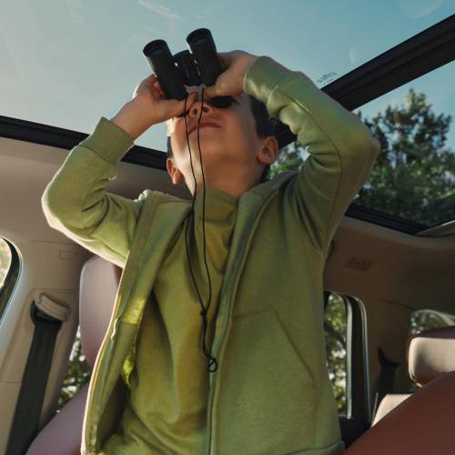 Reivindicar la curiosidad es un acto revolucionario