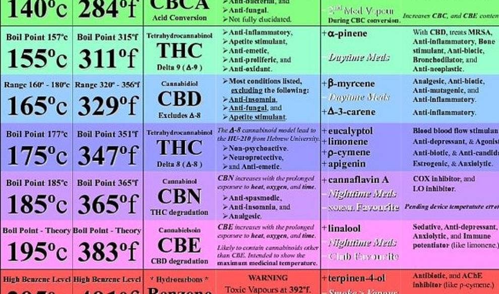 Intenté pasar sobria un fin de semana comiendo solo recetas de marihuana $!Intenté pasar sobria un fin de semana comiendo solo recetas de marihuana