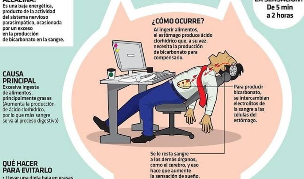 Esto es lo que deberías comer para evitar la somnolencia del verano $!Esto es lo que deberías comer para evitar la somnolencia del verano