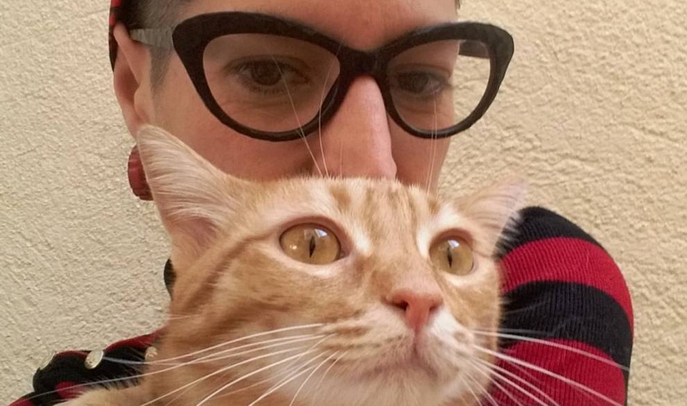 5 personas nos cuentan su bonita experiencia como casa de acogida de gatos $!5 personas nos cuentan su bonita experiencia como casa de acogida de gatos