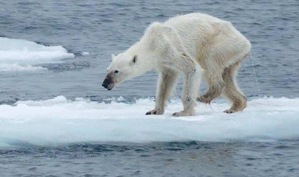 Hablamos con dos expertos sobre los argumentos que niegan el cambio climático $!Hablamos con dos expertos sobre los argumentos que niegan el cambio climático