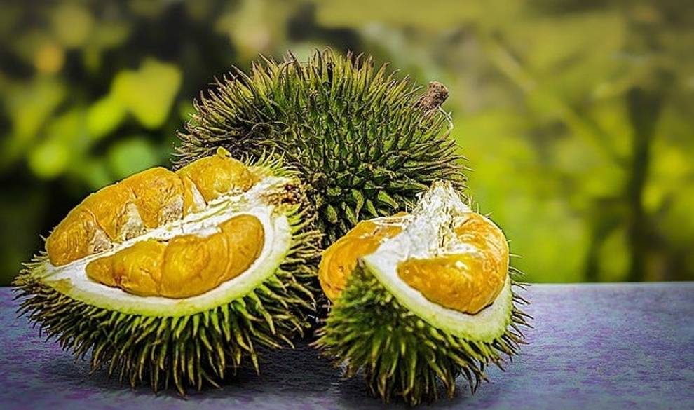 Los países más veganos del mundo para no pasarte las vacaciones comiendo ensalada $!Los países más veganos del mundo para no pasarte las vacaciones comiendo ensalada