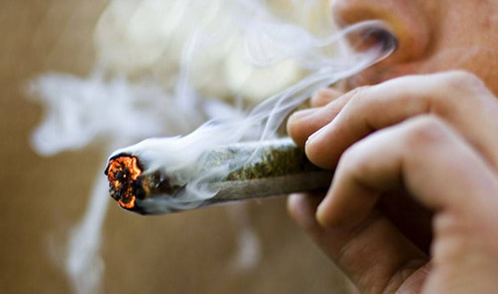 Los 5 mitos sobre la marihuana que deberías replantearte $!Los 5 mitos sobre la marihuana que deberías replantearte
