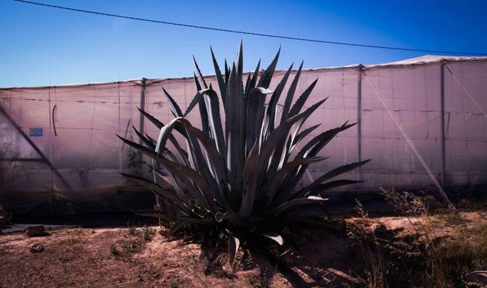 Los Infiernos Ciudad de Vacaciones: este verano me quedo en el pueblo $!Los Infiernos Ciudad de Vacaciones: este verano me quedo en el pueblo