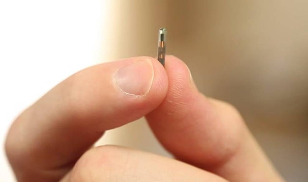 Una empresa implantará microchips a sus empleados para 'facilitarles el trabajo' $!Una empresa implantará microchips a sus empleados para 'facilitarles el trabajo'