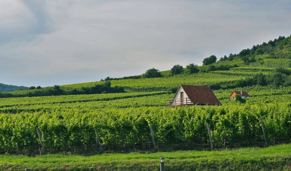 Tokaj-Hungria-codigonuevo $!Tokaj-Hungria-codigonuevo