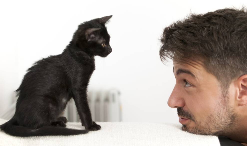 5 personas nos cuentan su bonita experiencia como casa de acogida de gatos $!5 personas nos cuentan su bonita experiencia como casa de acogida de gatos