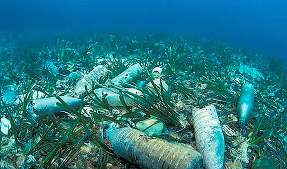 Los Océanos Del Mundo Tendrán En 2050 Más Plástico Que Peces $!Los Océanos Del Mundo Tendrán En 2050 Más Plástico Que Peces