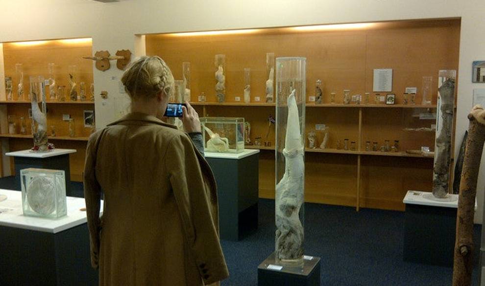 Por fin un museo que representará a todas las vaginas del mundo $!Por fin un museo que representará a todas las vaginas del mundo