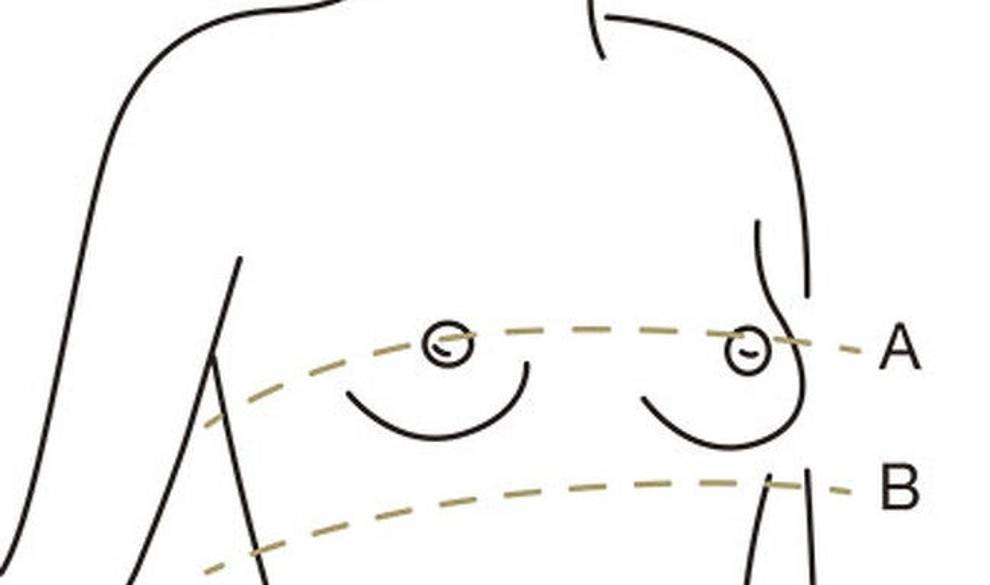Cómo calcular tu talla de sujetador: puede que descubras que llevas años equivocada $!Cómo calcular tu talla de sujetador: puede que descubras que llevas años equivocada