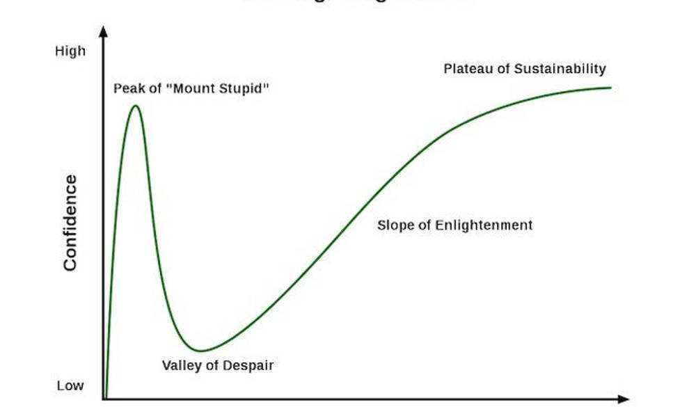 El ‘efecto Dunning-Kruger’ o por qué siempre hay un cuñado listo para opinar $!El ‘efecto Dunning-Kruger’ o por qué siempre hay un cuñado listo para opinar