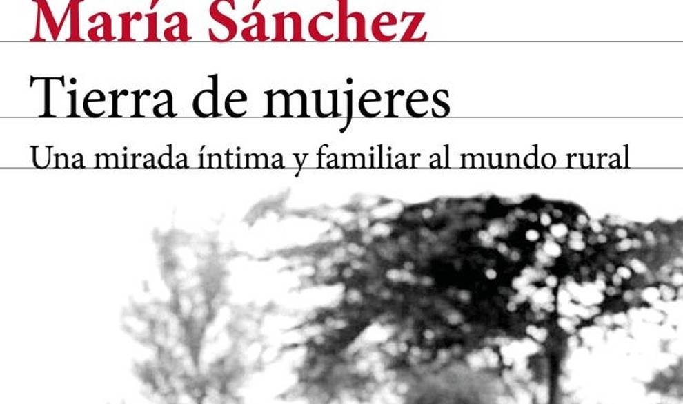 Estos son los 13 libros que sí o sí tienes que leer este 2019 $!Estos son los 13 libros que sí o sí tienes que leer este 2019