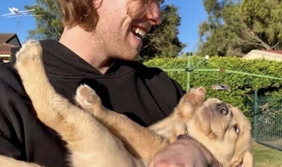 Tu mascota podría quererte solo por la comida, aunque a ti te cueste aceptarlo $!Tu mascota podría quererte solo por la comida, aunque a ti te cueste aceptarlo